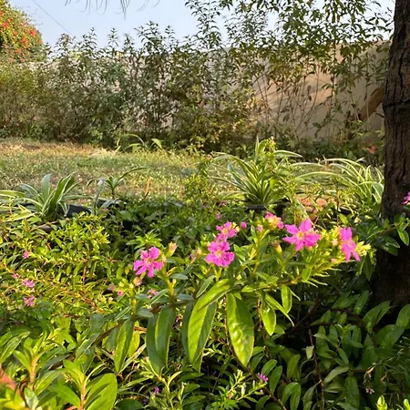The Bougainvillea Cottage - Private 2Br Farm-Stay With Hill And Orchard Views-2